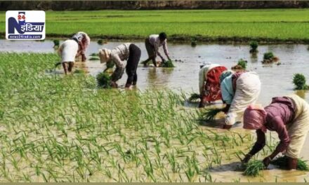 देश के 11 करोड़ से अधिक किसानों को मिला पीएम किसान योजना का लाभ