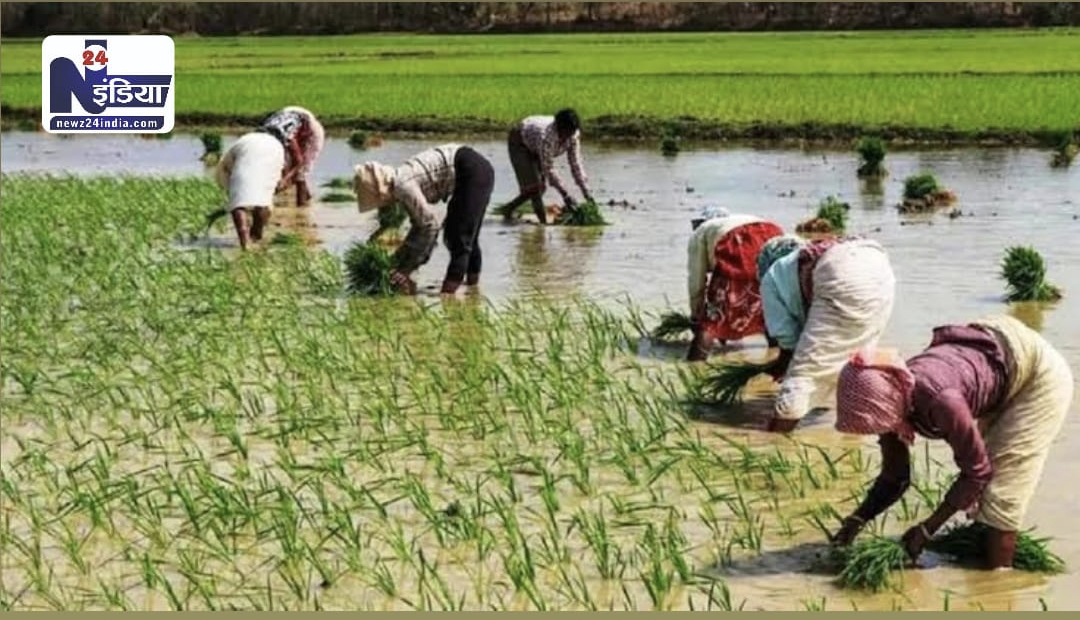 देश के 11 करोड़ से अधिक किसानों को मिला पीएम किसान योजना का लाभ