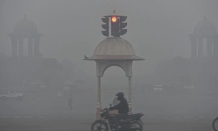 दिल्ली में सोमवार का दिन रहा बेहद ठंडा, न्यूनतम तापमान 8 डिग्री सेल्सियस दर्ज