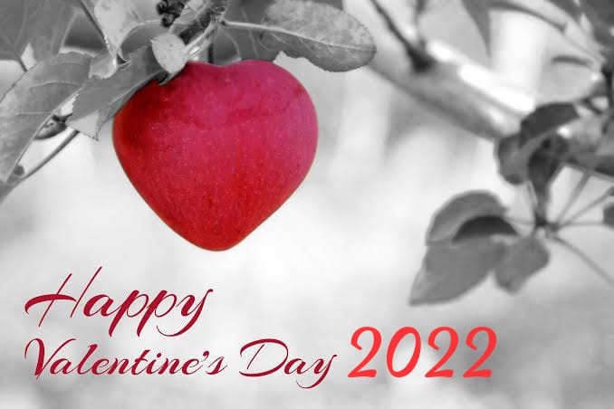 Valentine’s day 2022 : प्रेम के इस खास दिन पर जानें खास बाते