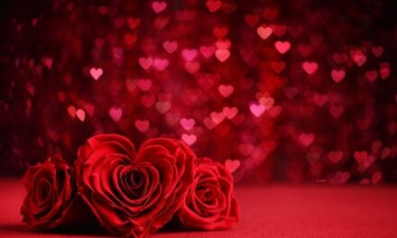 7 February 2022 Rose day अपने प्यार का इज़हार करें, अपने प्यार के लिए गाये स्पेशल रोज़ डे सॉंग