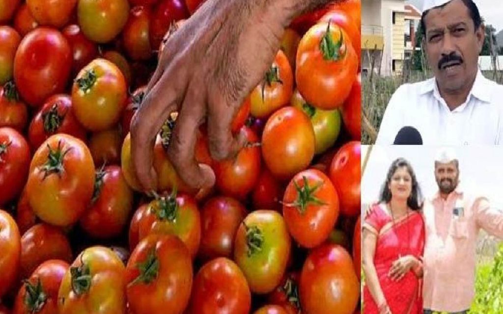 Tomato Price : टमाटर बेचकर कमाए 2.8 करोड़, अब 3.5 करोड़ का लक्ष्य
