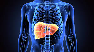 fatty liver :भारतीयों में फैटी लीवर रोग की चिंताजनक वृद्धि