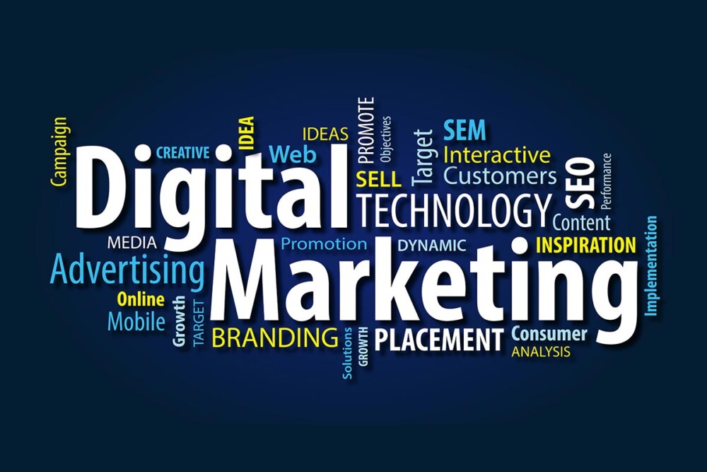 Digital Marketing: यदि आप इन करियर विकल्पों को चुनते हैं, तो आपको इस क्षेत्र में बड़ी कमाई के अवसर मिलेंगे।