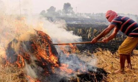 पंजाब में किसान Stubble Burning से लाखों रुपये कमा रहे हैं, इस तकनीक से