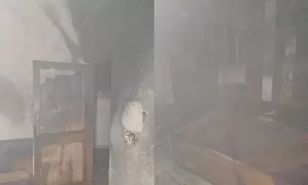 Gurugram Fire News: गुरुग्राम में एक घर में अचानक लगी आग, फंसी एक महिला की ऐसी जान बची
