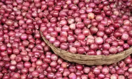 Delhi Onion Price: दिल्ली में प्याज की कीमतें घटी नहीं, दूसरे राज्यों से भी अधिक महंगी