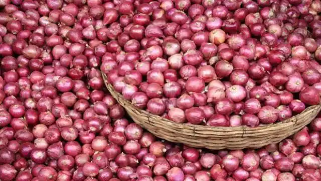 Delhi Onion Price: दिल्ली में प्याज की कीमतें घटी नहीं, दूसरे राज्यों से भी अधिक महंगी