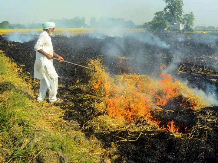 Punjab में दो महीने में 30 हजार से अधिक पराली जलाने की घटनाएं, हवा में घुला जहर