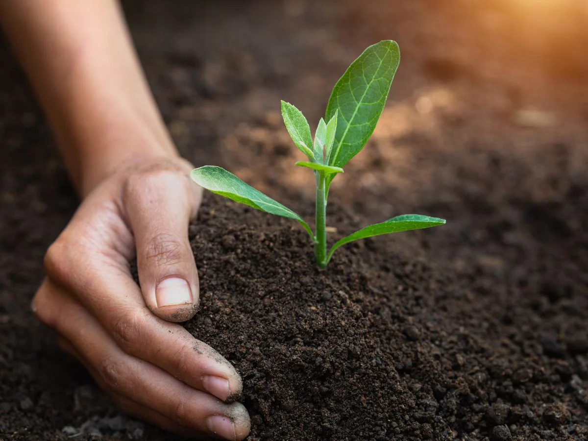 World Soil Day 2023: हिंदू धर्म में मिट्टी का बहुत महत्व है, घर लाने से भाग्य बदल सकती है ये चीजें