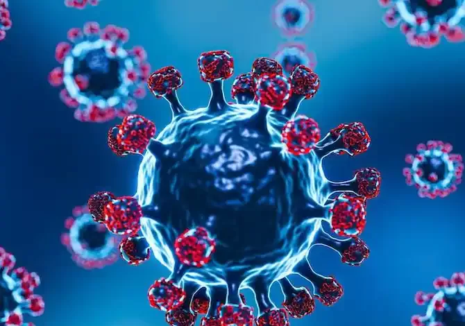 Coronavirus Cases in India: कोरोनावायरस के नवीनतम रूपों से बचने के लिए प्रतिरक्षा बढ़ाने के उपाय