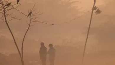 Weather Today: तेज सर्दी, पंजाब के 9 शहर शिमला से भी ठंडे, हरियाणा के 15 जिलों में धुंध