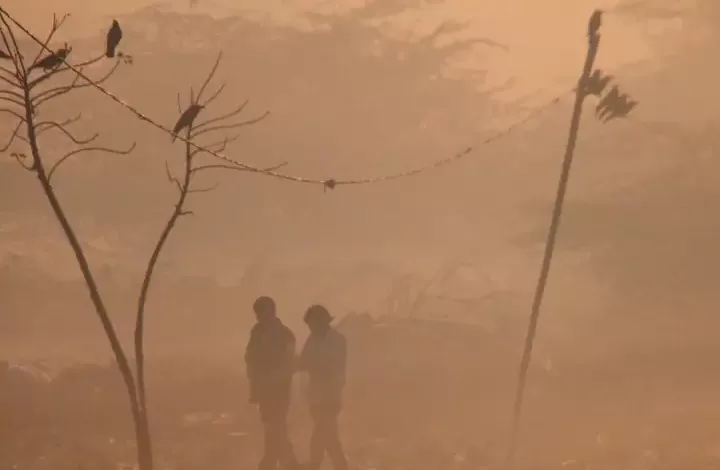 Weather Today: तेज सर्दी, पंजाब के 9 शहर शिमला से भी ठंडे, हरियाणा के 15 जिलों में धुंध