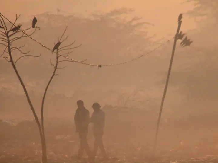 Weather Today: तेज सर्दी, पंजाब के 9 शहर शिमला से भी ठंडे, हरियाणा के 15 जिलों में धुंध