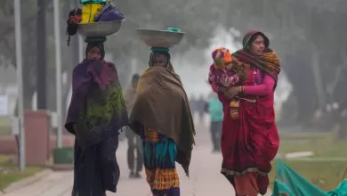 Weather Today: हरियाणा-पंजाब में सीवियर कोल्ड का Alert, कोहरे से अभी राहत नहीं मिलेगी, स्कूलों की छुट्टियां बढ़ीं चंडीगढ़ में