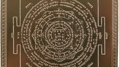 क्या है Ram Yantra? रामलला की प्राण प्रतिष्ठा से पहले गर्भगृह में क्या हुआ?