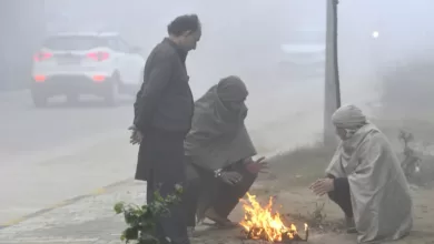 Today Weather: हरियाणा-पंजाब में ठंड और कोहरे का नवीनतम अपडेट; 9 जनवरी को बारिश भी होगी