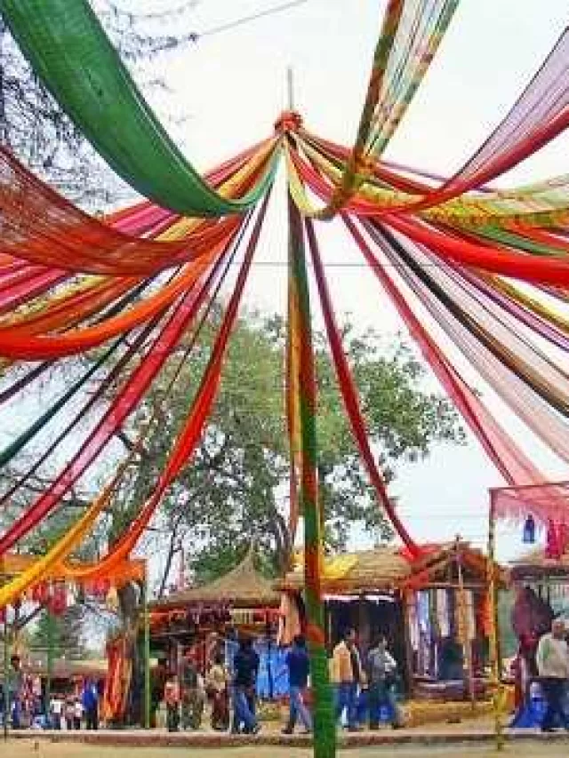 Suraj Kund Mela 2024- तारीख, समय, टिकट, थीम