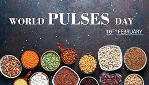 World Pulses Day 2024: इन दालों को अपनी डाइट में शामिल करें, आपको एक कटोरी से इतने सारे लाभ मिलेंगे।