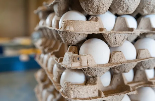 Egg Auction: 2.26 लाख रुपये का एक अंडा बेचने की वजह आपको हैरान कर देगी
