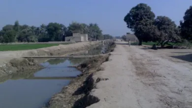 UP farmers help of canals