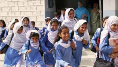 Summer Vacation in Punjab School: Big News