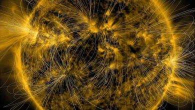 Sun's Magnetic Field:
