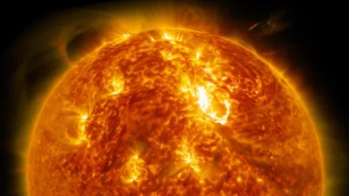 Sunspot AR3664 News