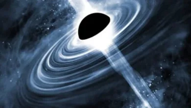 Primordia Black Holes news