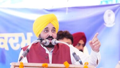 CM Bhagwant Mann: सूबा सरकार द्वारा किए लोक प्रयासों का किया जिक्र