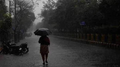 Haryana and Himachal Pradesh Weather Update