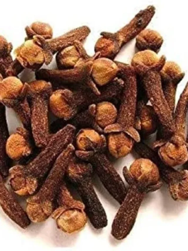 इन बीमारियों का इलाज होता है लौंग