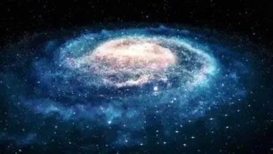 Dark Matter in Milky Way: