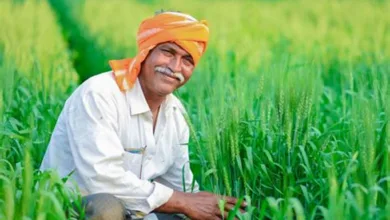 Mukhyamantri Kisan Samman Nidhi Yojana News