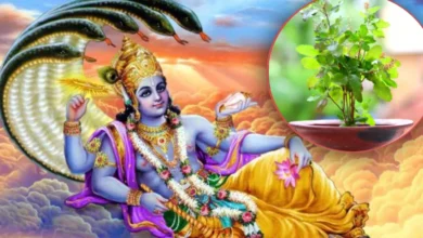 Kamika Ekadashi: एकादशी व्रत नियम को सिर्फ एक एकादशी के लिए 3 दिन मानना चाहिए, नहीं 3 दिन।