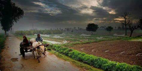 Punjab Weather Update: Punjab में Monsoon, 12 जिलों में अलर्ट, पढ़ें Latest Update….