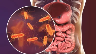 E-Coli Infection: शरीर में घात लगाकर बैठा होता है 'ई कोलाई', इम्यूनिटी कमजोर होते ही हमला करता है, इन अंगों को निशाना बनाता है