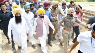 Punjab News: CM Maan ने इलाके का दौरा किया, गिदड़बाहा उपचुनाव जीतने की तैयारी में AAP