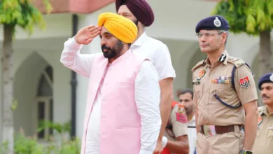 CM Bhagwant Mann: ढाई सालों में 44250 सरकारी नौकरियां, 872 दिनों में युवाओं को औसतन रोज़ाना 50 नौकरियां दी