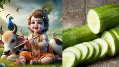 krishna janmashtami पर खीरा बहुत महत्वपूर्ण है क्योंकि यह गर्भवती महिलाओं के लिए फायदेमंद होता है