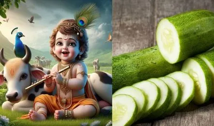 krishna janmashtami पर खीरा बहुत महत्वपूर्ण है क्योंकि यह गर्भवती महिलाओं के लिए फायदेमंद होता है