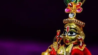 Janmashtami 2024: लड्डू गोपाल की पूजा कैसे की जाती है?