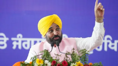 CM Bhagwant Mann की ओर से पौधारोपण अभियान को जन आंदोलन बनाने का आह्वान