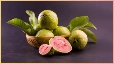 Guava Health Benefits: अमरूद के औषधीय गुणों से भरपूर लाभ, सेहत के लिए वरदान से कम नहीं है, जानें 