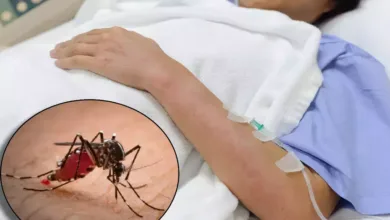 Dengue Recovery Diet: डॉक्टर बताते हैं कि डेंगू में प्लेटलेट्स बढ़ाने के लिए कौन से फल खाने चाहिए।