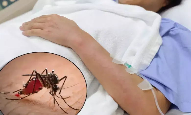 Dengue Recovery Diet: डॉक्टर बताते हैं कि डेंगू में प्लेटलेट्स बढ़ाने के लिए कौन से फल खाने चाहिए।