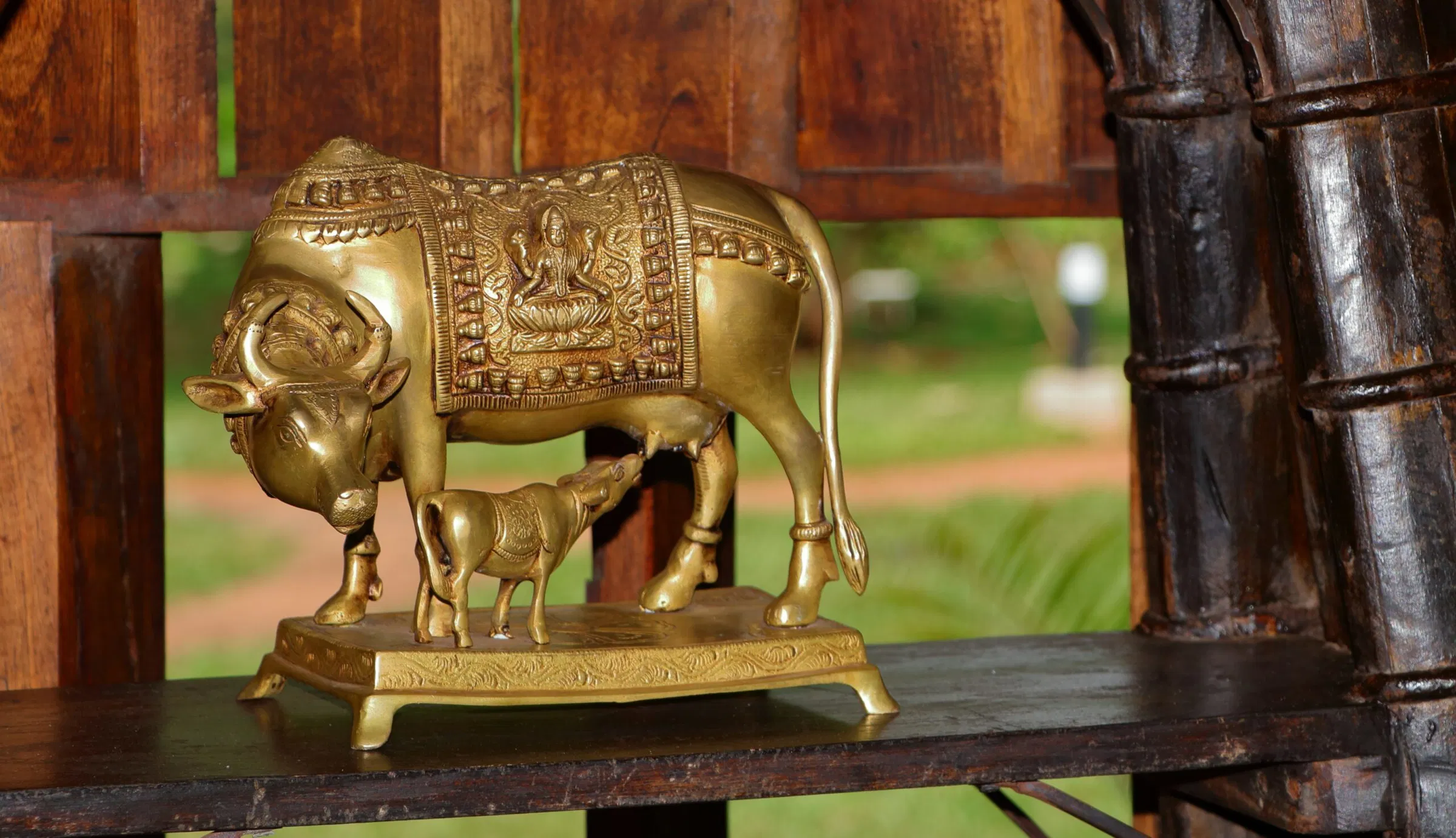 Vastu Tips: घर-ऑफिस में कामधेनु गाय की मूर्ति रखने की क्या सही दिशा है? जानिए वास्तु नियम