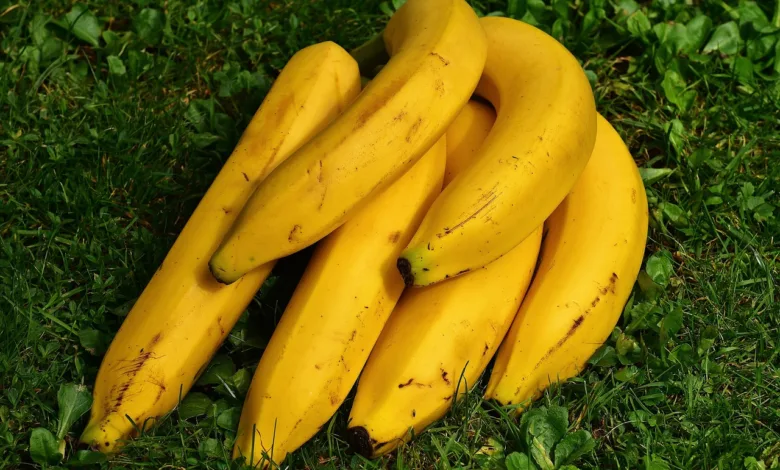 Health Benefits Of Banana: सेहत के लिए वरदान साबित होगा केला, इस तरह से केला अपनी डाइट में शामिल करें, यह बीमारियां दूर करेगा