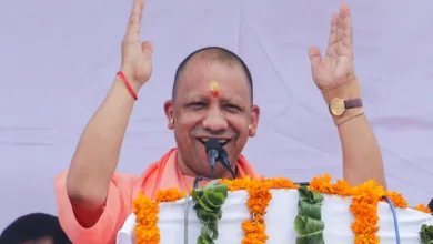 CM Yogi Adityanath ने चकबंदी लेखपालों को दिवाली का तोहफा दिया, 728 कानूनगो बने 