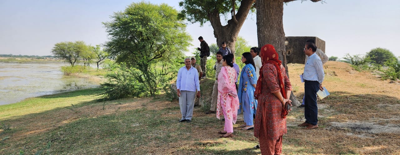 जिला कलेक्टर Dr. Jitendra Kumar Soni ने किया प्रभावित इलाके का दौरा - मौके पर जाकर अधिकारियों को दिए दिशा निर्देश
